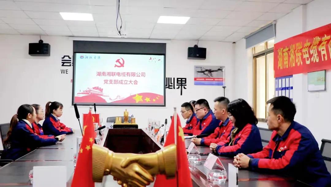 新征程 | 熱烈祝賀湖南湘聯(lián)電纜有限公司黨支部正式成立！