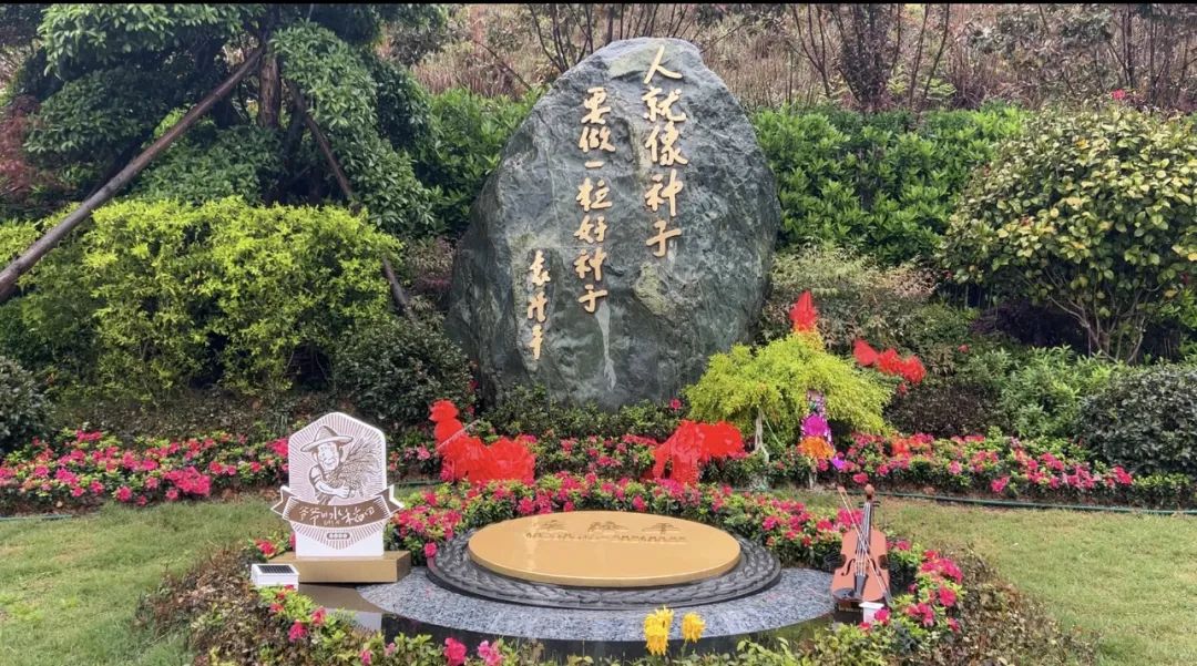 禾下乘涼夢，一稻一人生 我們永遠(yuǎn)懷念袁爺爺 #安全用電你我湘聯(lián)